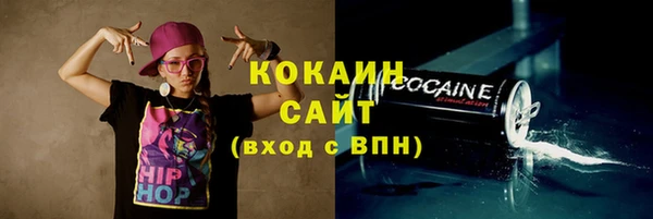 стаф Ельня