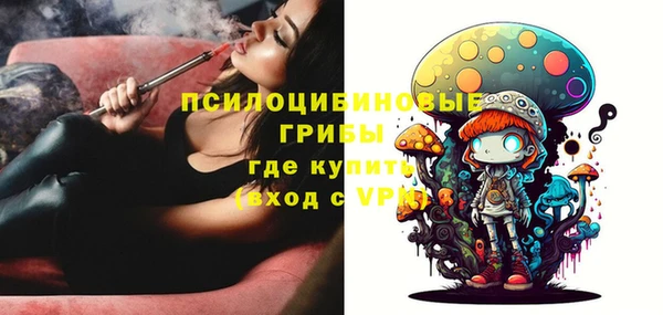 спиды Елабуга