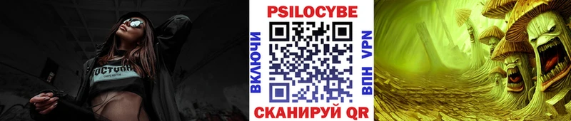 Псилоцибиновые грибы Psilocybe  Мыски 